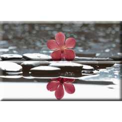 Aure wellness red 01  Панно