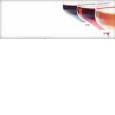  decor b Декор wine 02 absolut keramika
