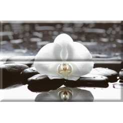 Aure wellness white 01  Панно