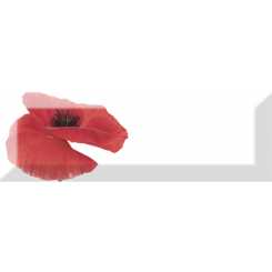 Poppy decor pz poppy 01  Декор