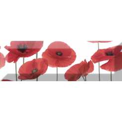 Poppy decor pz poppy 04  Декор