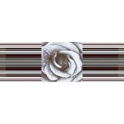 Aure decor rose 02  Декор