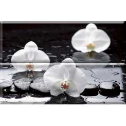 Aure wellness white 02  Панно