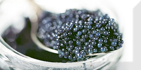 Absolut Keramika Monocolors Decor Black Caviar 03